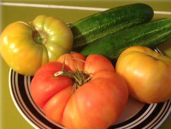 Jenehr Farms Happenings