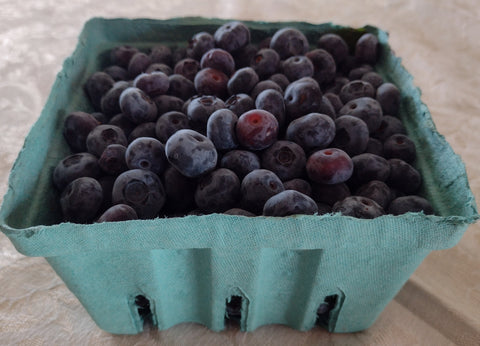 Blueberry Upick - Best Picking now to end of July